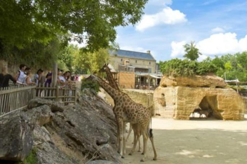 Maison 2-3 Pers Semi-Troglodyte Angers-Saumur Louresse-Rochemenier Dış mekan fotoğraf
